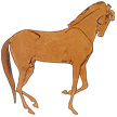 Jeune homme et le cheval