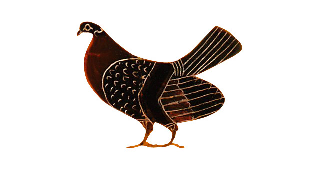 Une poule
