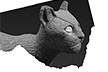 Le Chat